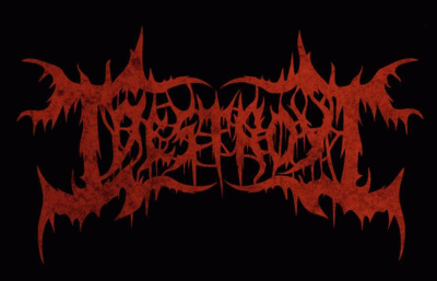 logo I Destroy I